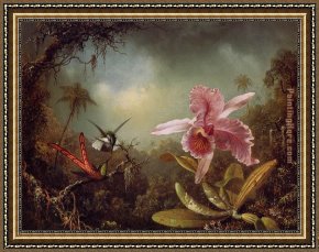 Hummingbird Framed Paintings - Orchid with Two Hummingbirds by Martin Johnson Heade