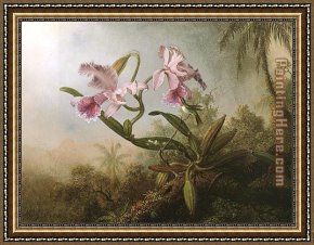 Hummingbird Framed Paintings - Orchids and Hummingbird 1875 by Martin Johnson Heade
