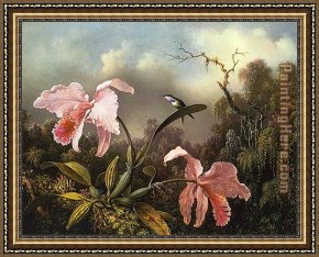 Hummingbird Framed Paintings - Orchids and Hummingbird 2 by Martin Johnson Heade