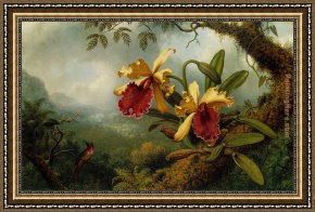 Hummingbird Framed Paintings - Orchids and Hummingbird by Martin Johnson Heade