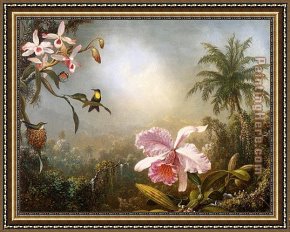 Hummingbird Framed Paintings - Orchids Nesting Hummingbirds and a Butterfly by Martin Johnson Heade