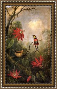 Hummingbird Framed Paintings - Passion Flowers and Hummingbirds 2 by Martin Johnson Heade
