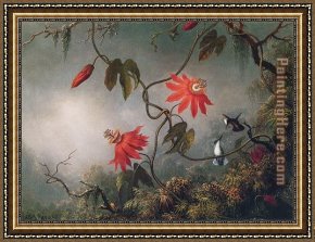 Hummingbird Framed Paintings - Passion Flowers and Hummingbirds by Martin Johnson Heade