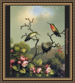North Lake Framed Paintings - Ruby Throat of North America by Martin Johnson Heade