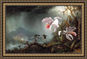 Hummingbird Framed Paintings - Two Fighting Hummingbirds with Two Orchids by Martin Johnson Heade
