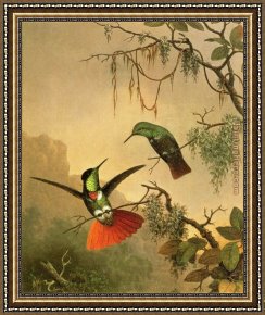 Hummingbird Framed Paintings - Two Hooded Visorbearer Hummingbirds by Martin Johnson Heade