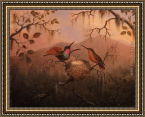 Hummingbird Framed Paintings - Two Hummingbirds at a Nest by Martin Johnson Heade