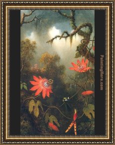 Hummingbird Framed Paintings - Two Hummingbirds Perched on Passion Flower Vines by Martin Johnson Heade