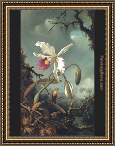 Orchid Framed Paintings - White Brazilian Orchid by Martin Johnson Heade