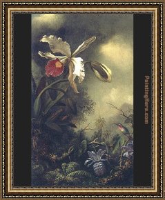 Hummingbird Framed Paintings - White Orchid and Hummingbird by Martin Johnson Heade