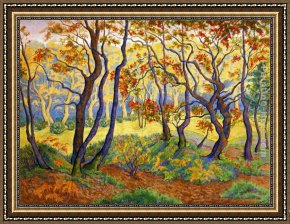 Brazilian Forest Framed Paintings - Edge of the Forest by Paul Ranson