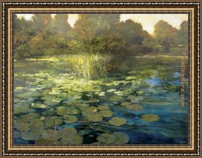 Waterlilies Framed Paintings - Waterlilies by Philip Craig