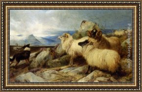 A Shepherdess with Her Flock Framed Paintings - Herding the Flock by Richard Ansdell