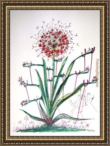 Les Moissonneurs 1888 Framed Paintings - Cactus Les Bequilles by Salvador Dali