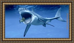 Puffins Over Sea Framed Paintings - Shark by Sea life