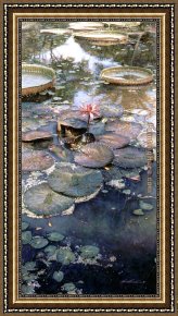 Waterlilies Framed Paintings - Waterlilies in Bloom by Steve Hanks