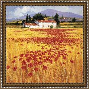 Poppies Framed Paintings - Poppies field by Steve Thoms