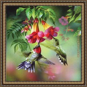 Hummingbird Framed Paintings - hummingbirds by Unknown Artist