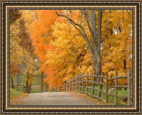 Unknown Artist Framed Paintings - RL033 by Unknown Artist