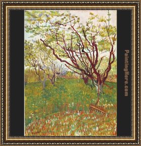 Pear Tree Framed Paintings - Cherry Tree by Vincent van Gogh