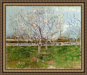 Those Blossoms You Gave So Freely 4 Framed Paintings - Orchard in Blossom by Vincent van Gogh