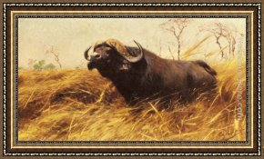 The Buffalo Trail Framed Paintings - An African Buffalo by Wilhelm Kuhnert