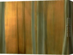 Woodland Canvas Paintings - Beech Woodland in Autumn by 2011