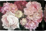 Stretched Canvas Painting