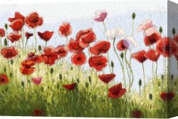 Poppies 1886 Canvas Paintings - Mountain Poppies III by 2011