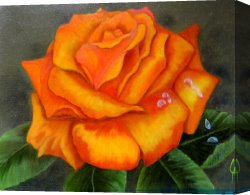 Heart of The Rose Canvas Paintings - Orange Rose by 2011