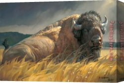 2017 New Canvas Paintings - Animal 201712 by 2017 new