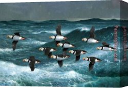 Puffins Canvas Paintings - Puffins Over Sea by 2017 new