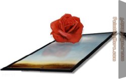 Heart of The Rose Canvas Paintings - Meditative Rose I by 3d art