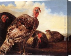 Cuyp Canvas Paintings - Domestic Fowl by Aelbert Cuyp