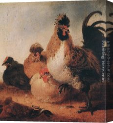 Cuyp Canvas Paintings - Rooster and Hens by Aelbert Cuyp