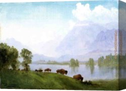 Albert Canvas Paintings - Buffalo Country by Albert Bierstadt
