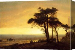 Rocky Coast And Gulls Canvas Paintings - California Coast by Albert Bierstadt