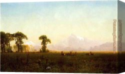 Deer Canvas Paintings - Deer Grazing, Grand Tetons, Wyoming by Albert Bierstadt