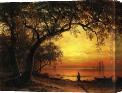 Island Hole at Sawgrass Canvas Paintings - Island of New Providence by Albert Bierstadt