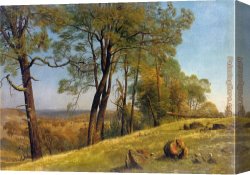 Among The Sierra Nevada Mountains California Canvas Paintings - Landscape Rockland County California by Albert Bierstadt