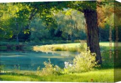 Pond Canvas Paintings - Quiet Pond by Albert Bierstadt