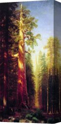 Pear Tree Canvas Paintings - The Great Trees Mariposa Grove California by Albert Bierstadt