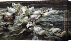 Pond Canvas Paintings - Ducks in a Pond by Alexander Koester