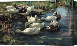 Jas De Bouffan The Pool Canvas Paintings - Ducks in a Quiet Pool by Alexander Koester