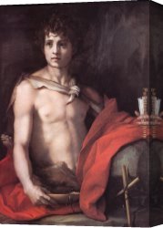 El Bano Del Caballo [the Horse's Bath] Canvas Paintings - St. John the Baptist by Andrea del Sarto