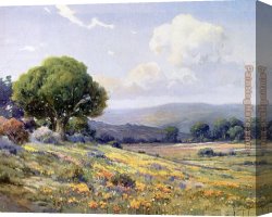 California Canvas Paintings - Angel Espoy California Wildflowers by Angel Espoy