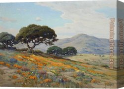 Poppies 1886 Canvas Paintings - California Lupines and Poppies by Angel Espoy
