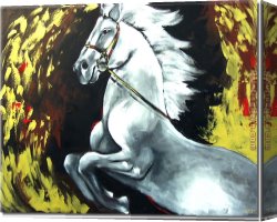 Animal Canvas Paintings - 8105 by Animal