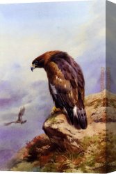 Golden Harvest Canvas Paintings - A Golden Eagle by Archibald Thorburn