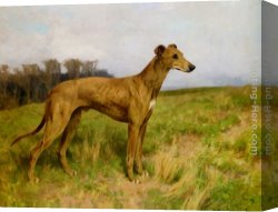 Flint Canvas Paintings - Champion Greyhound Dee Flint by Arthur Wardle